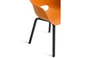 Noa Kuipstoel - 2 stuks - 56,5x55x80cm - Oranje